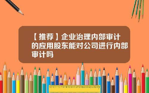 【推荐】企业治理内部审计的应用股东能对公司进行内部审计吗