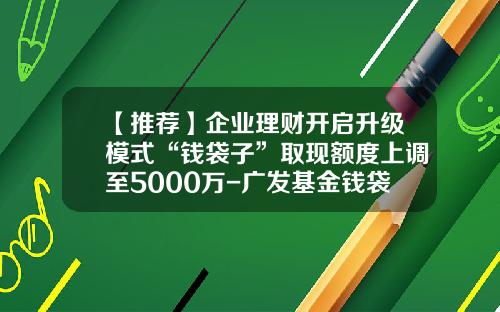 【推荐】企业理财开启升级模式“钱袋子”取现额度上调至5000万-广发基金钱袋子安全吗