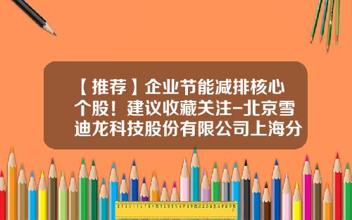 【推荐】企业节能减排核心个股！建议收藏关注-北京雪迪龙科技股份有限公司上海分公司
