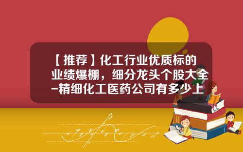 【推荐】化工行业优质标的业绩爆棚，细分龙头个股大全-精细化工医药公司有多少上市公司