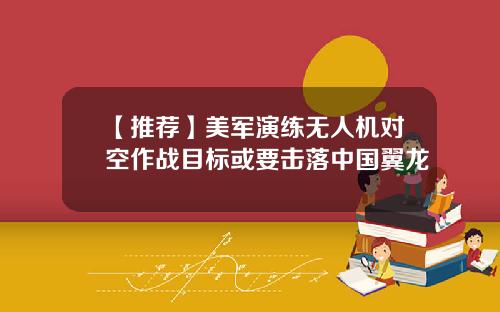 【推荐】美军演练无人机对空作战目标或要击落中国翼龙