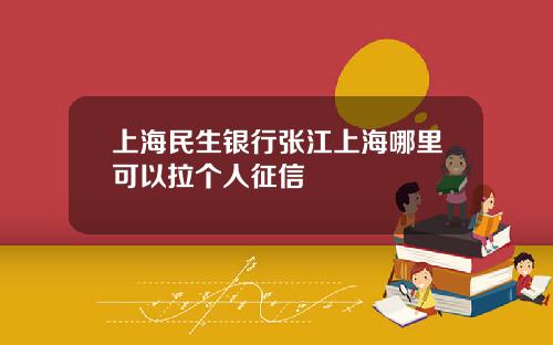 上海民生银行张江上海哪里可以拉个人征信