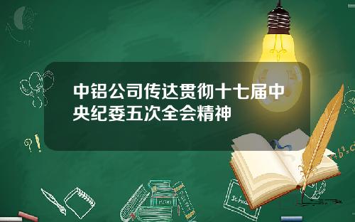 中铝公司传达贯彻十七届中央纪委五次全会精神