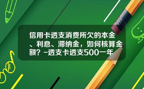 信用卡透支消费所欠的本金、利息、滞纳金，如何核算金额？-透支卡透支500一年还多少钱