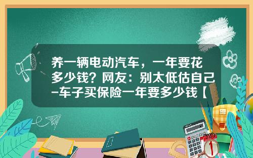 养一辆电动汽车，一年要花多少钱？网友：别太低估自己-车子买保险一年要多少钱【新闻】