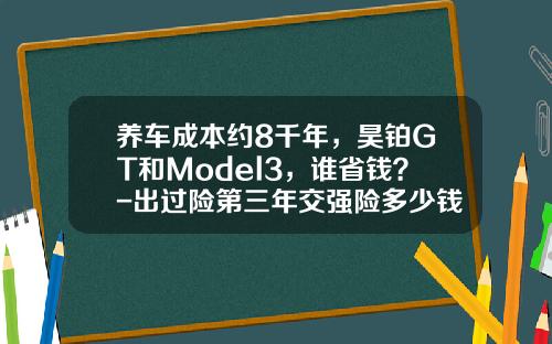 养车成本约8千年，昊铂GT和Model3，谁省钱？-出过险第三年交强险多少钱【新闻】