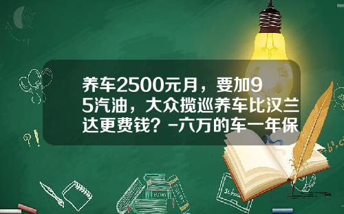 养车2500元月，要加95汽油，大众揽巡养车比汉兰达更费钱？-六万的车一年保险费多少钱【新闻】