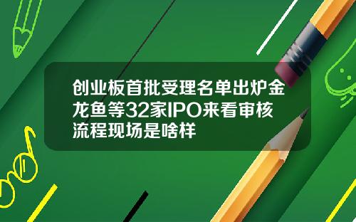创业板首批受理名单出炉金龙鱼等32家IPO来看审核流程现场是啥样