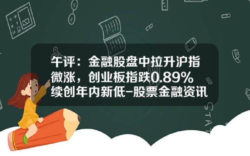 午评：金融股盘中拉升沪指微涨，创业板指跌0.89%续创年内新低-股票金融资讯哪里看