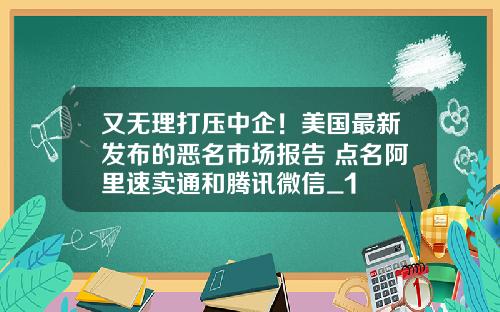 又无理打压中企！美国最新发布的恶名市场报告 点名阿里速卖通和腾讯微信_1