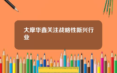 大摩华鑫关注战略性新兴行业