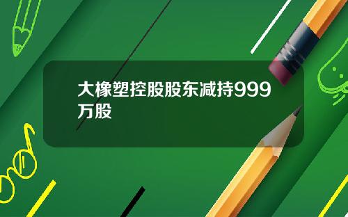 大橡塑控股股东减持999万股