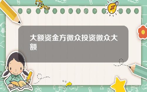 大额资金方微众投资微众大额