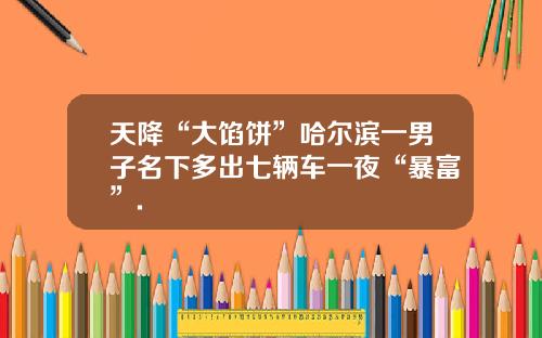 天降“大馅饼”哈尔滨一男子名下多出七辆车一夜“暴富”.