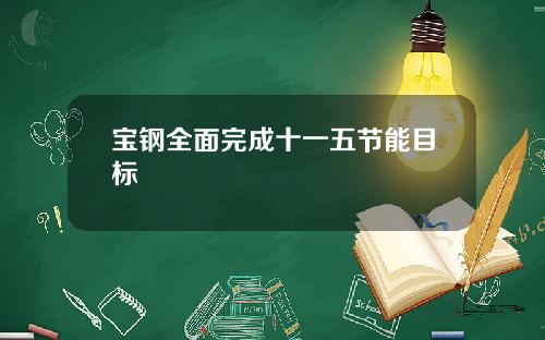 宝钢全面完成十一五节能目标