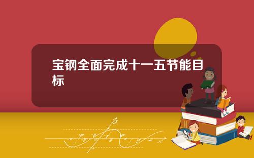 宝钢全面完成十一五节能目标