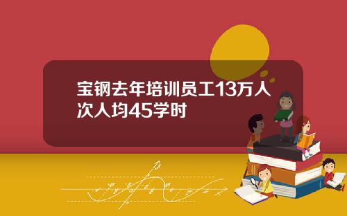 宝钢去年培训员工13万人次人均45学时
