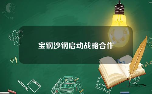 宝钢沙钢启动战略合作