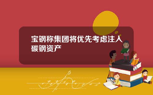 宝钢称集团将优先考虑注入碳钢资产