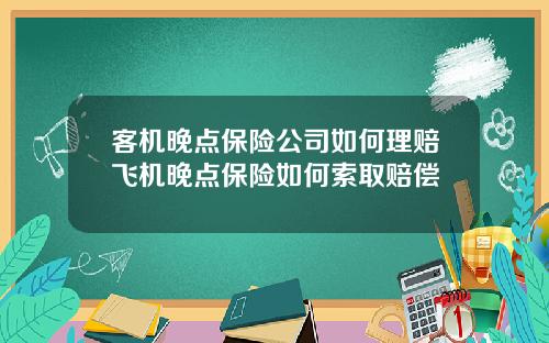 客机晚点保险公司如何理赔飞机晚点保险如何索取赔偿