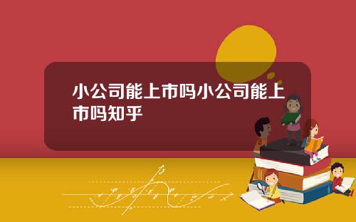 小公司能上市吗小公司能上市吗知乎