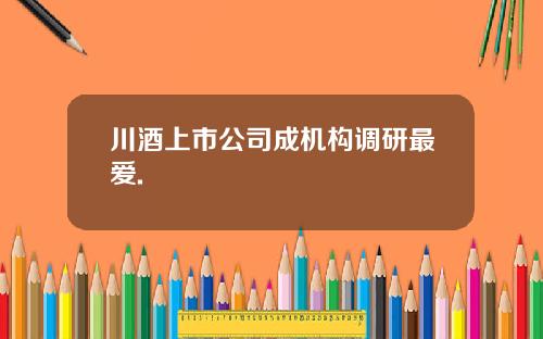 川酒上市公司成机构调研最爱.
