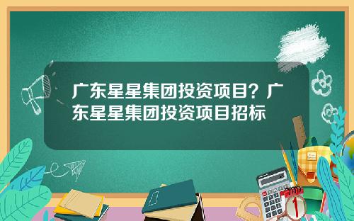 广东星星集团投资项目？广东星星集团投资项目招标