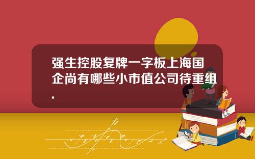 强生控股复牌一字板上海国企尚有哪些小市值公司待重组.