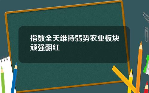 指数全天维持弱势农业板块顽强翻红
