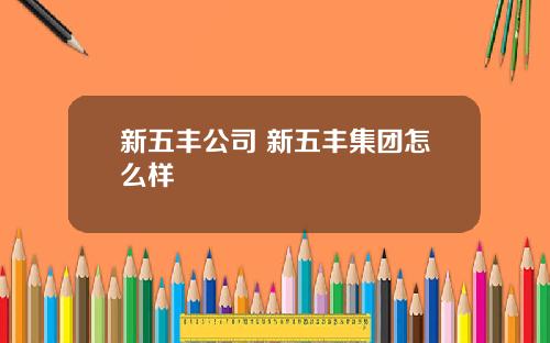 新五丰公司 新五丰集团怎么样