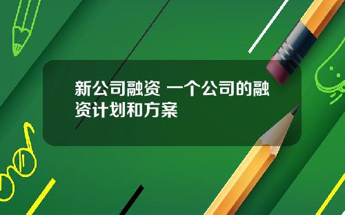 新公司融资 一个公司的融资计划和方案