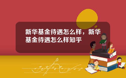 新华基金待遇怎么样，新华基金待遇怎么样知乎