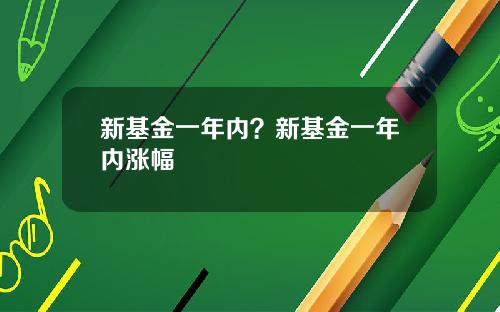 新基金一年内？新基金一年内涨幅
