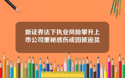 新证券法下执业风险攀升上市公司董秘感伤或因披返贫