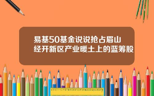易基50基金说说抢占眉山经开新区产业暖土上的蓝筹股