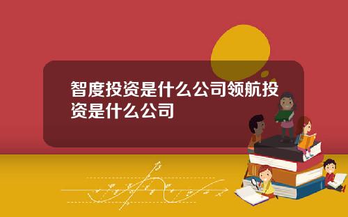 智度投资是什么公司领航投资是什么公司