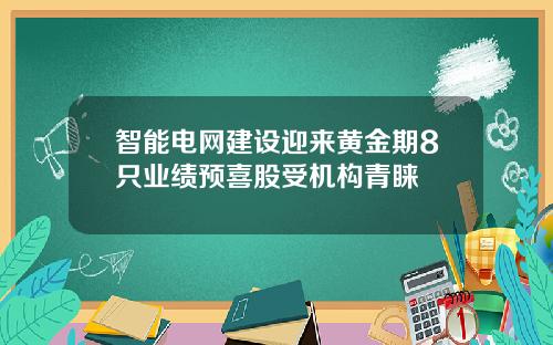 智能电网建设迎来黄金期8只业绩预喜股受机构青睐