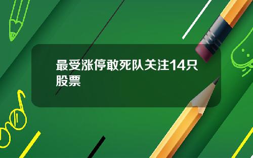 最受涨停敢死队关注14只股票