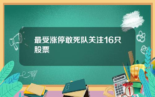 最受涨停敢死队关注16只股票