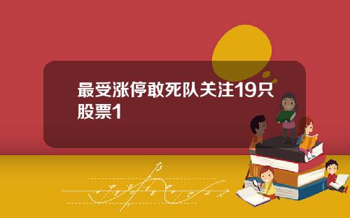 最受涨停敢死队关注19只股票1