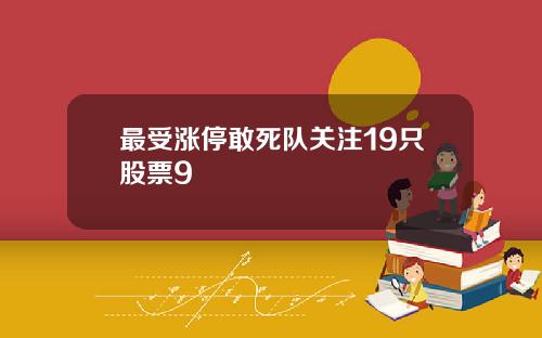 最受涨停敢死队关注19只股票9