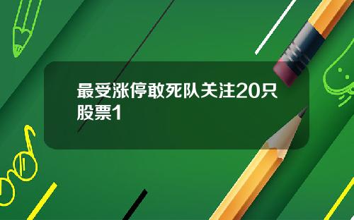 最受涨停敢死队关注20只股票1