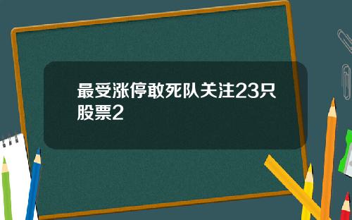 最受涨停敢死队关注23只股票2