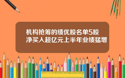 机构抢筹的绩优股名单5股净买入超亿元上半年业绩猛增