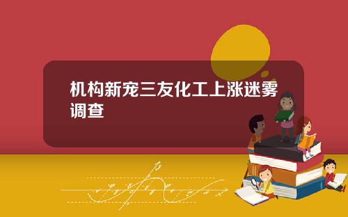机构新宠三友化工上涨迷雾调查