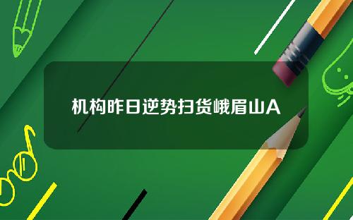 机构昨日逆势扫货峨眉山A