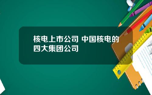 核电上市公司 中国核电的四大集团公司