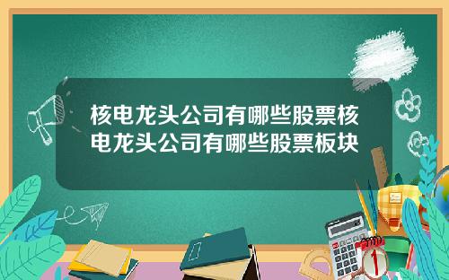 核电龙头公司有哪些股票核电龙头公司有哪些股票板块
