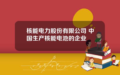 核能电力股份有限公司 中国生产核能电池的企业