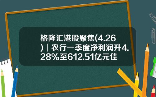 格隆汇港股聚焦(4.26)︱农行一季度净利润升4.28%至612.51亿元佳源国际逾40亿进军安徽房地产市场-龙海市金佳源食品有限公司